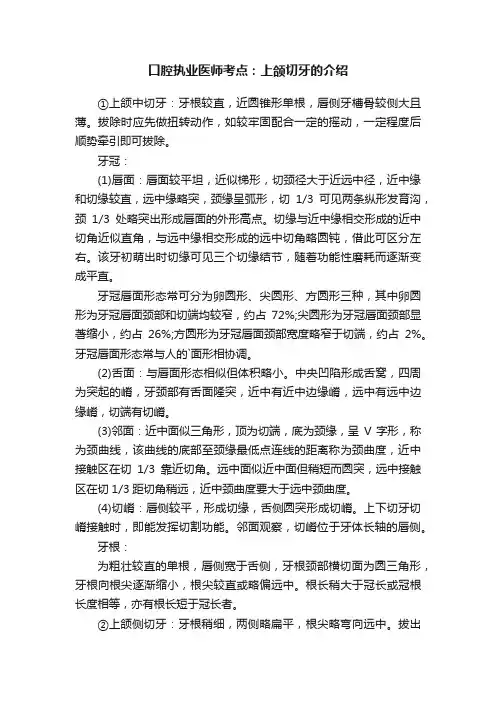 口腔执业医师考点：上颌切牙的介绍