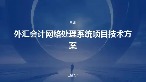 外汇会计网络处理系统项目技术方案