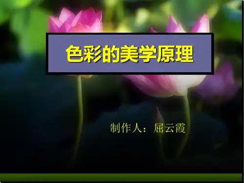 色彩的美学原理