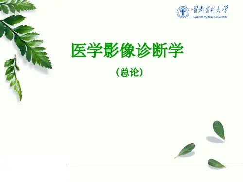医学影像诊断学(总论)