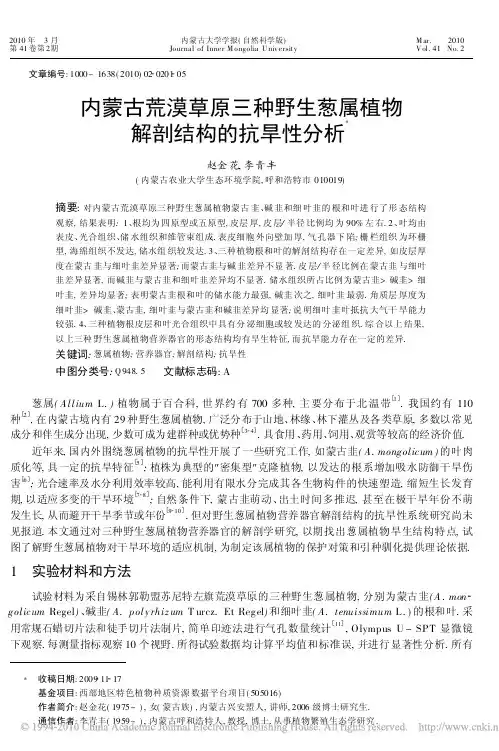 内蒙古荒漠草原三种野生葱属植物解剖结构的抗旱性分析_赵金花