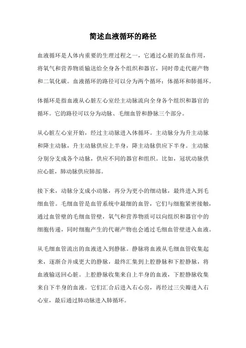 简述血液循环的路径