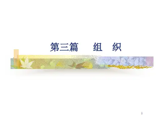 组织的部门化
