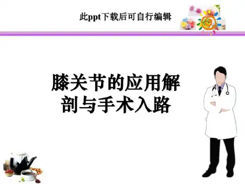 膝关节周围解剖与手术入路-2023年学习资料