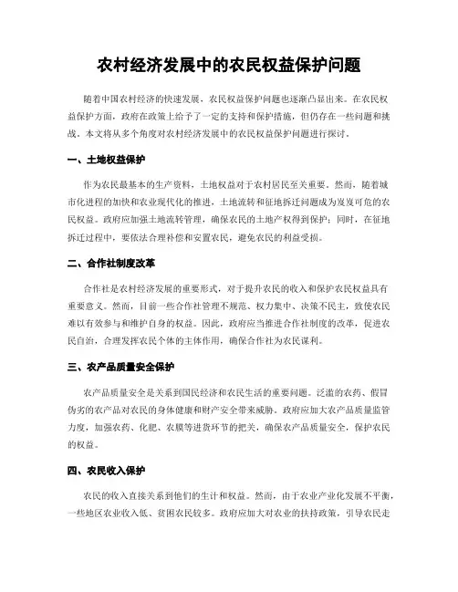 农村经济发展中的农民权益保护问题
