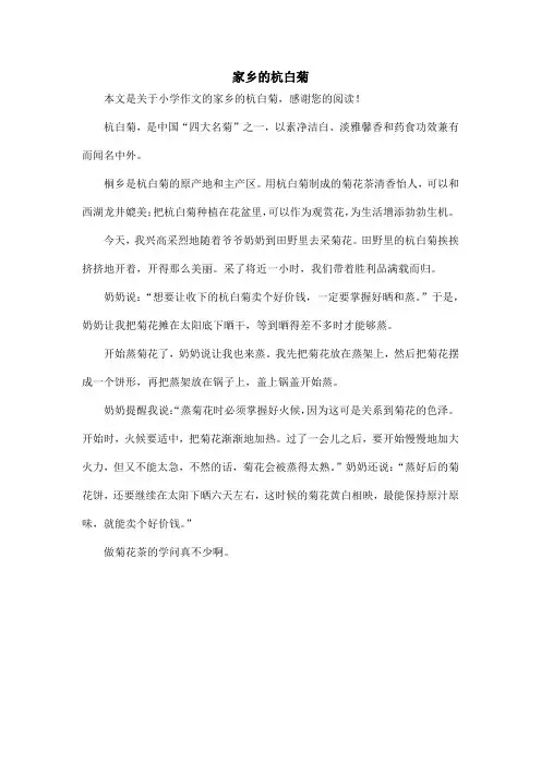 家乡的杭白菊_小学作文