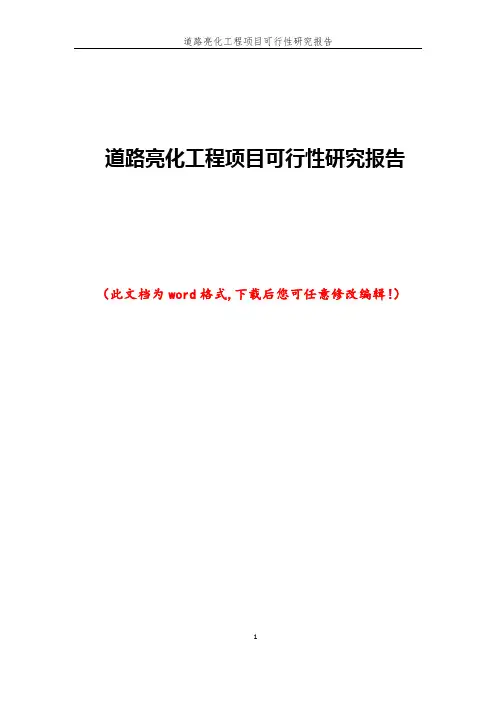 道路亮化工程项目可行性研究报告