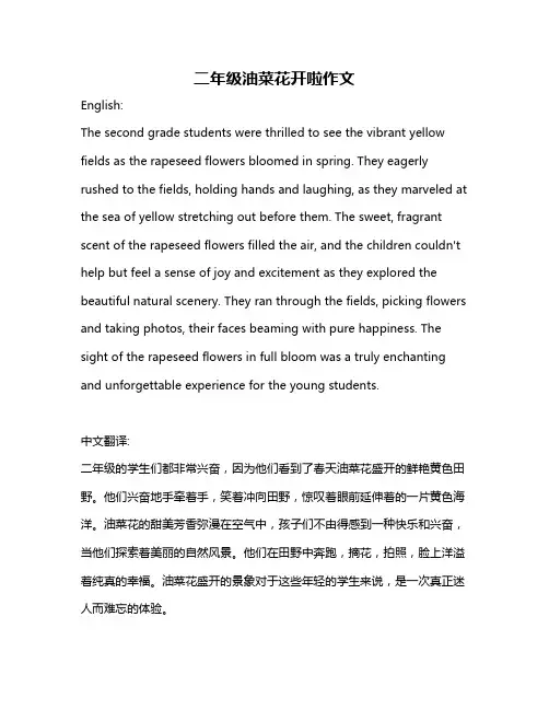 二年级油菜花开啦作文