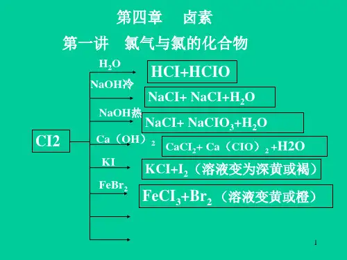 高一化学第四章卤素(人教版)PPT课件