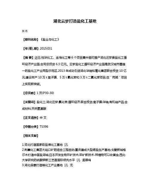 湖北云梦打造盐化工基地