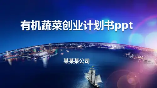 有机蔬菜创业计划书ppt