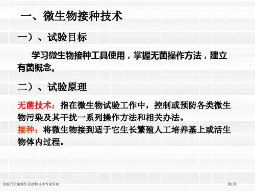 实验五无菌操作及接种技术专家讲座