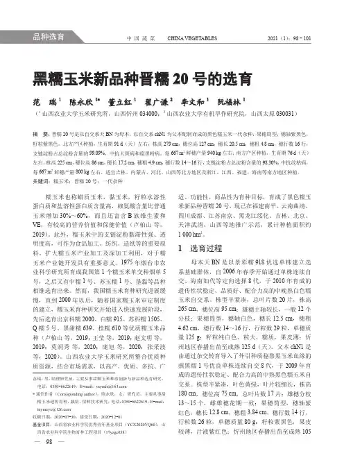 黑糯玉米新品种晋糯20号的选育