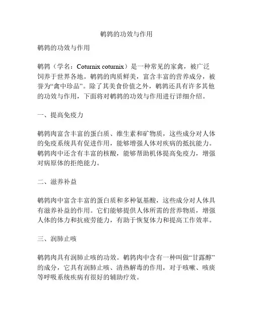 鹌鹑的功效与作用