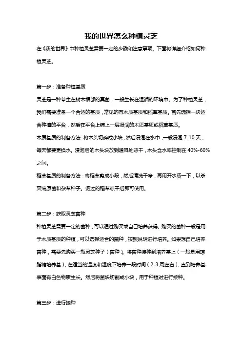 我的世界怎么种植灵芝