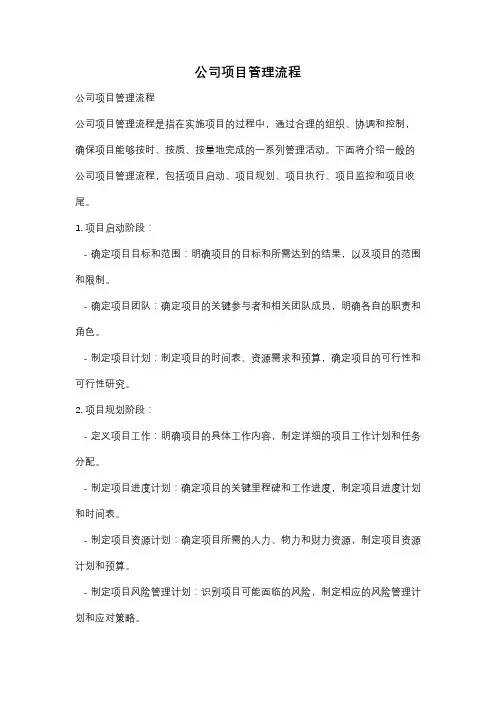 公司项目管理流程