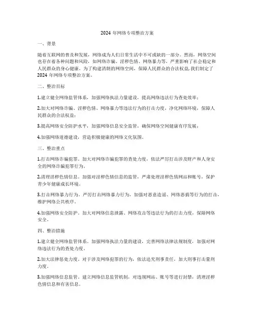 2024年网络专项整治方案