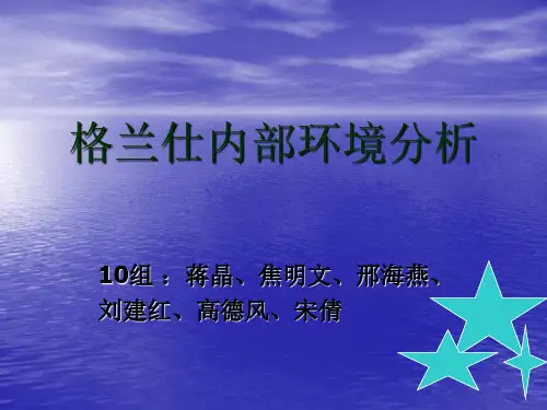 格兰仕的战略分析