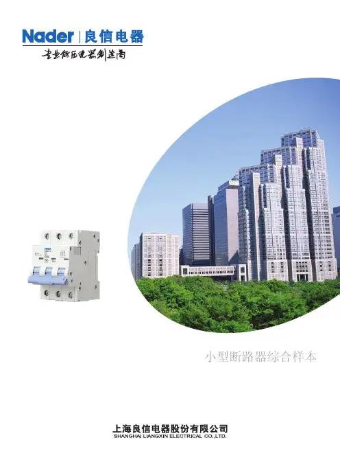 NDM系列样本