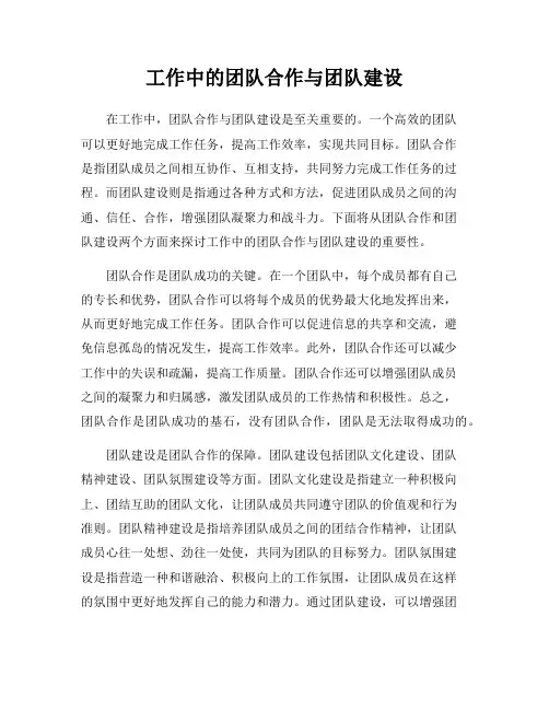 工作中的团队合作与团队建设