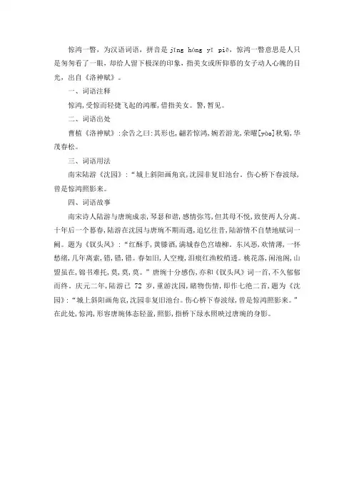 惊鸿一瞥是什么意思