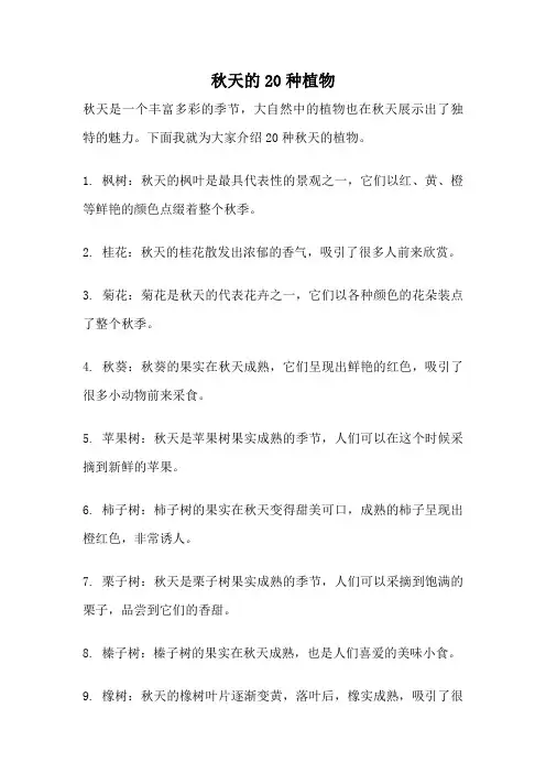 秋天的20种植物