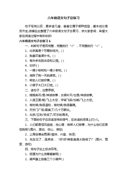 六年级语文句子总复习