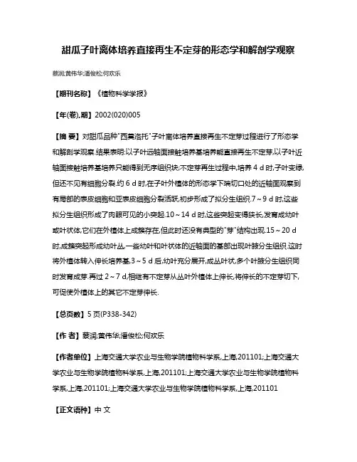 甜瓜子叶离体培养直接再生不定芽的形态学和解剖学观察