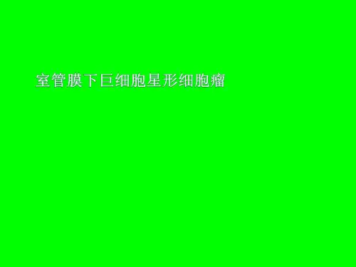 室管膜下巨细胞星形细胞瘤影像诊断