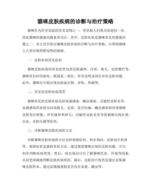 猫咪皮肤疾病的诊断与治疗策略