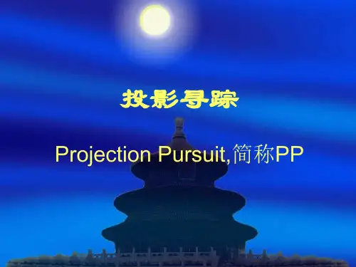 投影寻踪