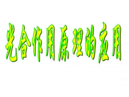 高一生物光合作用2