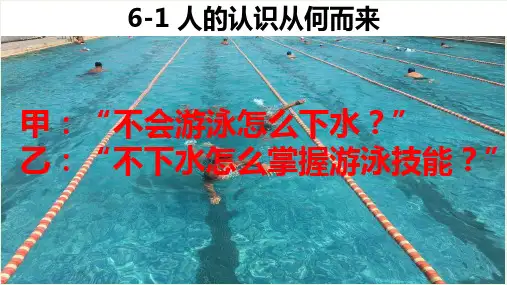 高中政治6.1人的认识从何而来课件11新人教版必修4