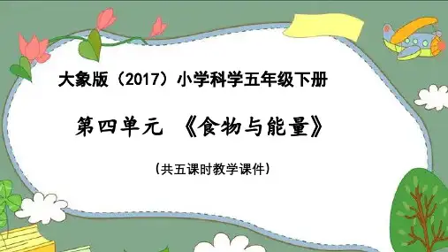 大象版(2017)小学科学五年级下册第四单元《食物与能量》教学课件共五课时