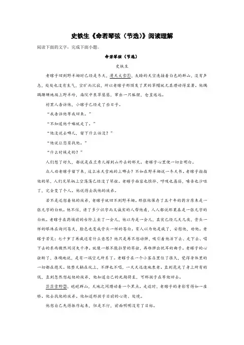 史铁生《命若琴弦(节选)》阅读理解