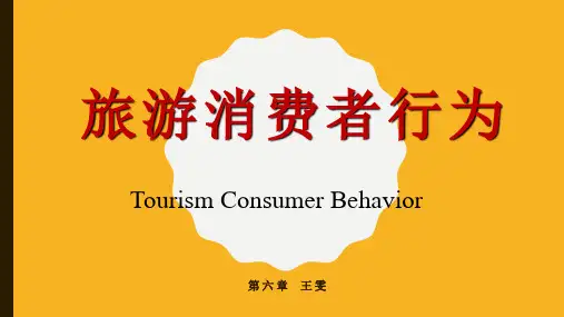 最新旅游消费者行为(第六章 个性)