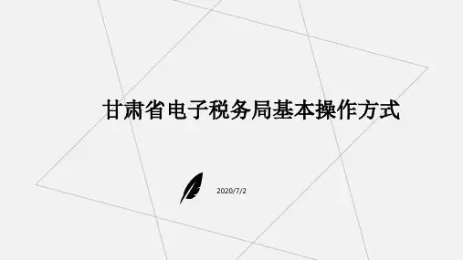 电子税务局讲义