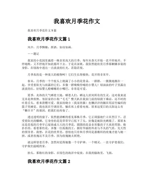 我喜欢月季花作文