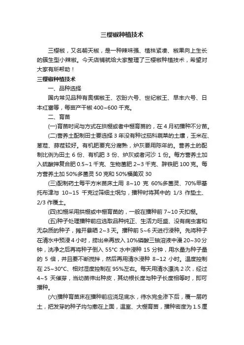三樱椒种植技术