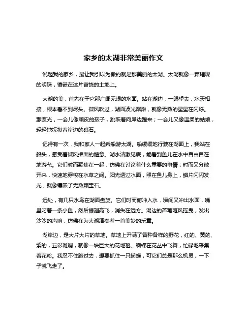 家乡的太湖非常美丽作文