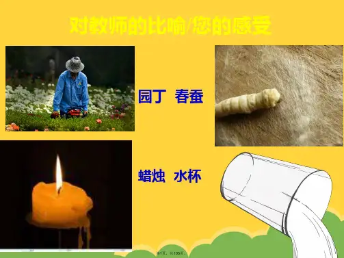 教师的职业心理健康(共103张PPT)