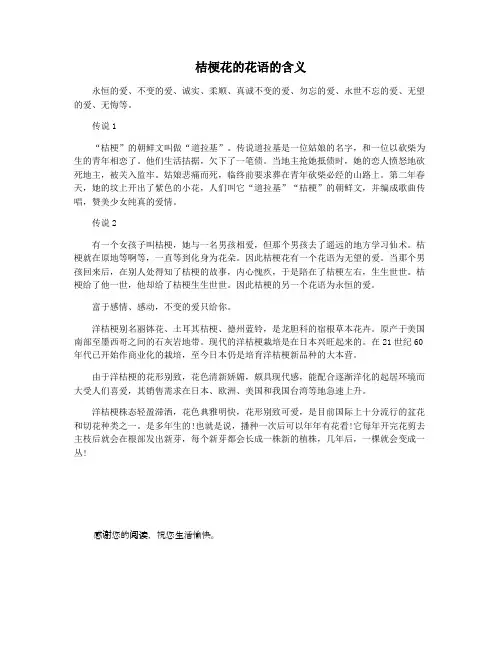 桔梗花的花语的含义