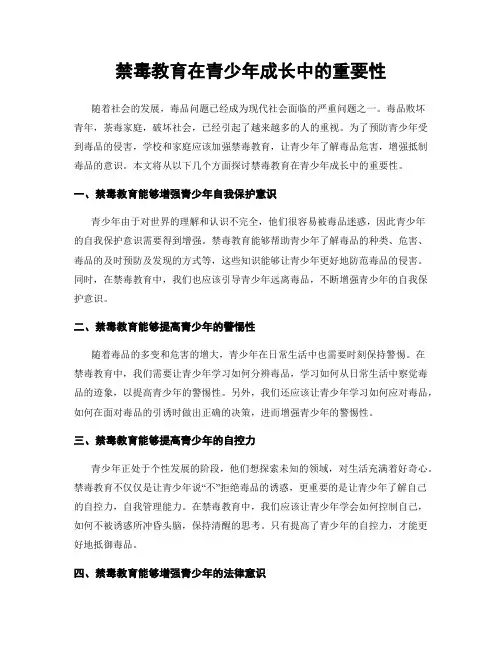 禁毒教育在青少年成长中的重要性