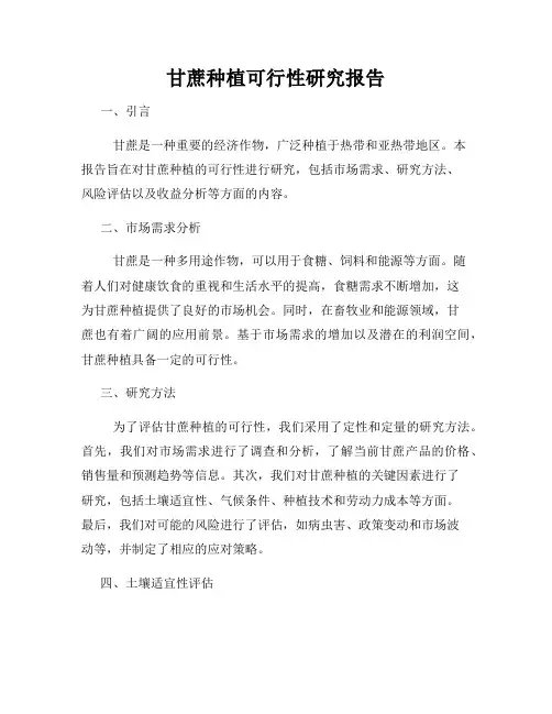 甘蔗种植可行性研究报告