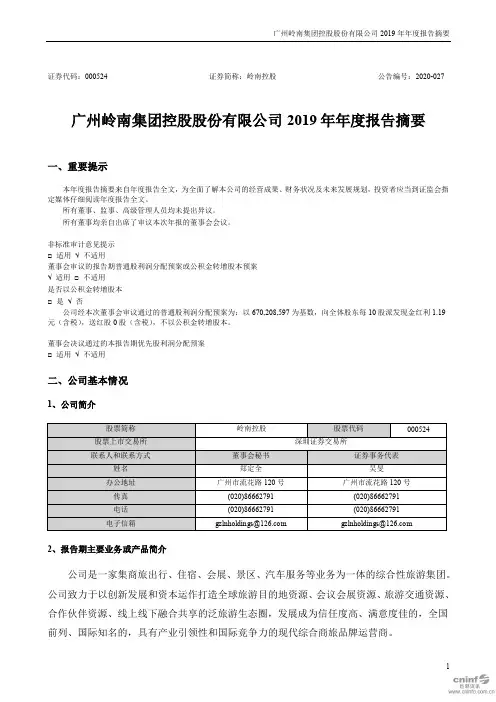 岭南控股：2019年年度报告摘要