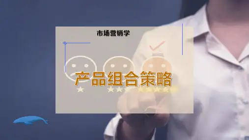 产品组合策略