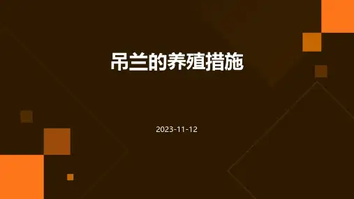 吊兰的养殖措施
