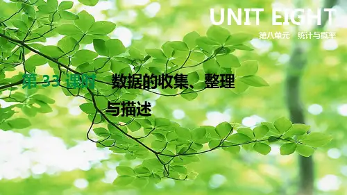 中考数学复习 第八单元 统计与概率 第33课时 数据的收集、整理与描述课件