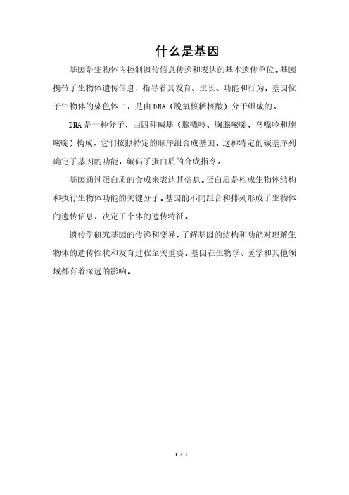 什么是基因