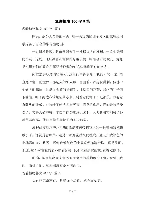 观察植物400字9篇